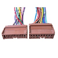 Ensemble de connecteurs marron d'origine 1318917-6 & 179678-6 pour amplificateur Bose Nissan Teana