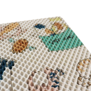 Maßgefertigte Tiermuster-Handwaschbare Umweltfreundliche Wasserdichte PVC-Haustiermatte für Hunde und Katzen - Product Image 6