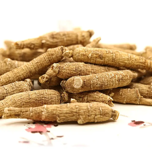 Kapsul Herbal potensi tinggi kualitas sempurna meningkatkan energi mendukung kesehatan imun <span class=keywords><strong>Ginseng</strong></span> Amerika yang efektif - Product Image 3