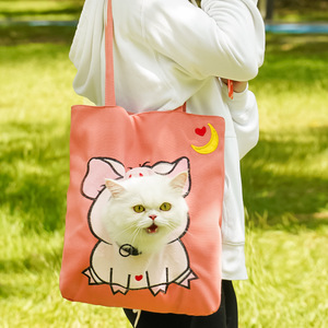 กระเป๋าใส่สัตว์เลี้ยงแบบสะพายข้างสำหรับแมวและสุนัขขนาดเล็ก ทำจากโพลีเอสเตอร์ เหมาะสำหรับพกพาออกนอกบ้านและใช้ในชีวิตประจำวัน - Product Image 6