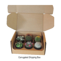 Boîte cadeau en papier rigide avec couvercle et base, emballage de luxe pour plantes succulentes, recyclable, respectueux de l'environnement, avec logo personnalisé en relief OMT