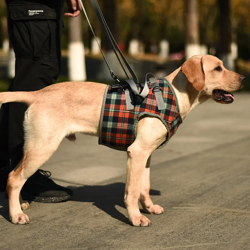 Individuelles LOGO OEM ODM Marke Luxusfabrik einstellbare Riemen Designer Haustierträger Luxus-Sassisten-Hundeträger