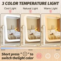 Miroir de maquillage portable à LED avec grossissement 10X, éclairé par LED, pour chambre à coucher, maquillage professionnel