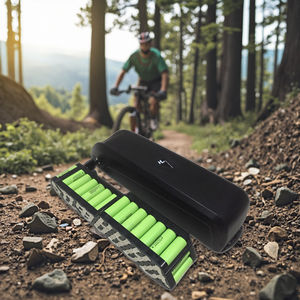 100% 원래 <span class=keywords><strong>36v</strong></span> 전기 자동차 배터리 10Ah 리튬 이온 배터리 팩 전기 자전거 리튬 - Product Image 6