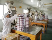 Thé au jasmin biologique du Fujian, été 2025, en vrac, traditionnel, pressé aux fleurs, arôme floral, parfum sucré, pour la vente en gros