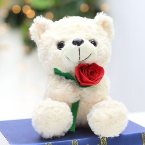 Oso de Peluche Kawaii de 25 cm con Gorro de Doctor, Súper Suave, Lindo, de Anime, de Algodón, con Logotipo Personalizado <span class=keywords><strong>para</strong></span> Graduación Escolar - Product Image 3