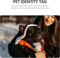 Collier pour chien en silicone de qualité alimentaire de luxe, forme hexagonale, simple, avec logo laser et code QR personnalisable pour animaux de compagnie