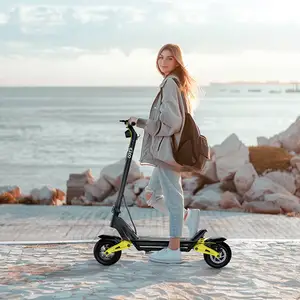 Folding Electric Scooter with Dual Suspension and Bluetooth Link APP, EU Stock 48V 20AH 25KM/H Stand-up Moped