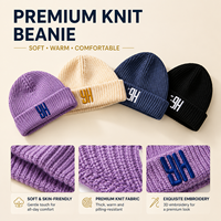 Gorro de Punto Grueso con Puño, Estilo Urbano, Clásico de Invierno, Unisex, con Logotipo Bordado en 3D Personalizado para Deportes
