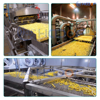 Productielijn voor hoogcapaciteitsfriet voor aardappelverwerkingsfabrieken en commerciële productie van diepvriesproducten