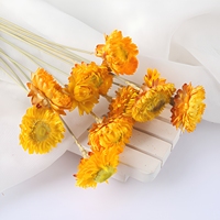 Chrysanthèmes séchés naturels frais de petite taille pour DIY, vente en gros, directement de l'usine, idéal pour un cadeau pour petite amie