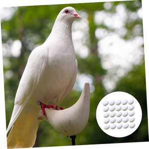 Uova artificiali di piccione con simulazione termica riempite d'acqua: plastica resistente di dimensioni realistiche per la gestione dell'allevamento e il controllo della schiusa - Product Image 3