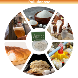 Pabrik Bubuk Pullulanase Penjualan Langsung Enzim Pullulanase Kelas Makanan untuk Industri Kue dan Pembuatan Bir - Product Image 2