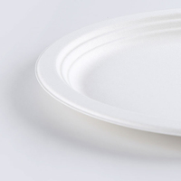 Pâte jetable portable compostable Durable canne à sucre bagasse pulpe moulée plaque ronde à vendre