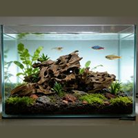 Pierre naturelle poreuse pour aquarium et bassin, idéale pour l'aménagement paysager et la protection des poissons et des crevettes contre les débris flottants
