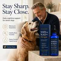 Complément Liquide NMN NAD+ Marque Blanche pour Chiens Seniors – Soutien à la Mémoire et à la Clarté Mentale – Formule Saveur Poulet