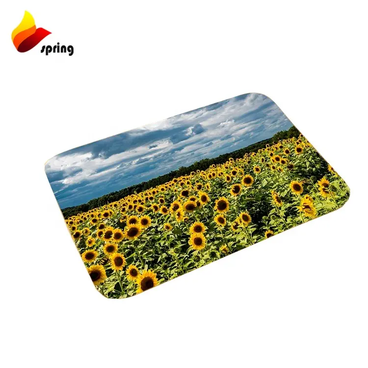 Good Style Latex backing Toilet No Smell Microfiber Drying Mat