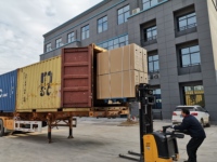 Fabrika Çıkışlı 26 İnç Büyük Güçlü Feiwel Dağ Elektrikli Bisikleti 48V Lityum Pil Fırçasız Motor Alüminyum Alaşımlı Gövde Kalın Lastik