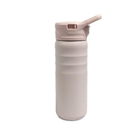 Gobelet sport à double couvercle 18oz, haute valeur esthétique, portable, pour eau froide, en acier inoxydable 304, avec ventouse
