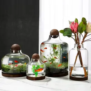 Grande maison Terrarium en verre pour plantes succulentes Terrarium avec base en bois et couvercle à boule pour plante Boule de mousse Réservoir de poissons en verre Mini Table