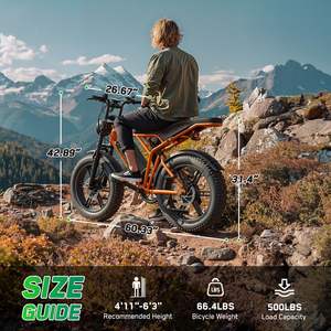 Bête monstre gros pneu E-Bike conquérir n'importe quel paysage montagne neige sable élégant urbain gros pneu électrique Cruiser vélo - Product Image 6