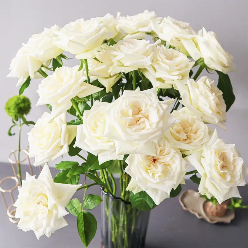Vente en gros de fleurs fraîchement coupées, roses blanches, décoration de mariage, plantes colorées, centres de table pour mariage