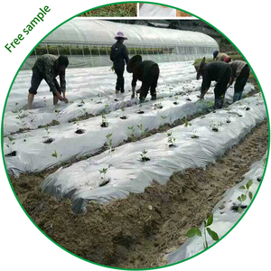 Black <strong>Silver</strong> White Plastic <strong>Mulch</strong> <strong>Film</strong>,agricultural Use Anti Weed <strong>Mulch</strong>,custom Large Size <strong>Mulch</strong> <strong>Film</strong>