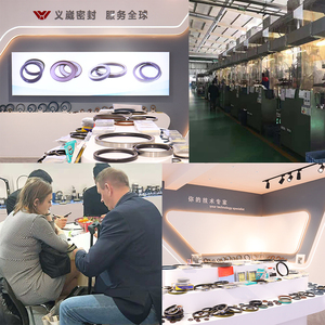 तेल सील निर्माता Tc tb tb a nbr fkkm राष्ट्रीय श्रृंखला तेल सील - Product Image 5