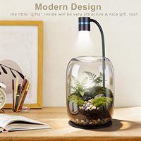 Lampe LED réglable bleue à spectre complet pour terrarium, idéale pour mousse, fougère, nano-plantes, bureau, verre – Vente en gros directe usine