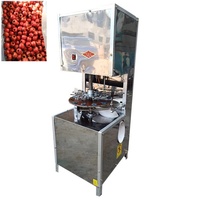 100kg/uur Fruitontpittermachine, machine voor het verwijderen van vruchten uit verse meidoorn, olijvenontpitter, dadelpitter