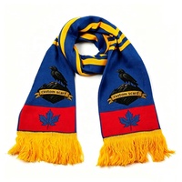 Écharpe de football personnalisée en jacquard tricoté, design acrylique, souvenir de cérémonie pour les fans d'équipes de football, saison d'automne