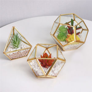 DIY Miniature Verre Géométrique <span class=keywords><strong>Terrarium</strong></span> En Pot Réaliste Artificielle Succulente pour Home Office Décoration de Mariage - Product Image 4