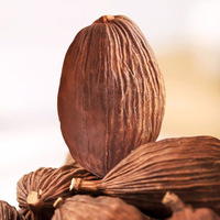 OEM Directe Levering Export Kwaliteit Bulk 100% Pure Amomum Tsaoko (Cao Guo) Gedroogd Fruit Chinees Kruid Zwarte Kardemom Natuurlijke Plant