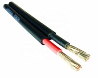 Hot Sale TÜV Solar DC Kabel 2,5/4/6/10mm ², PV Draht für Wechsel richter & Solarfarmen für netz gebundene Systeme & Batteriesp eicher Großhandel
