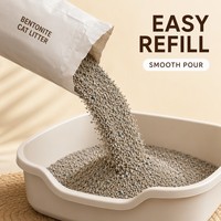Litière pour chat en bentonite de sodium cassée, particules d'argile haute densité, agglomération rapide, désodorisation, durable, sable de nettoyage pour animaux domestiques