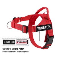 À la mode sans traction chien harnais pour animaux de compagnie harnais laisse ensemble respirant Nylon réfléchissant selle poitrine sangle Anti-évasion avec poignée