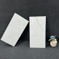Carreaux de sol et de mur en céramique pour salle de bain et cuisine, impression jet d'encre numérique, 300x600 mm