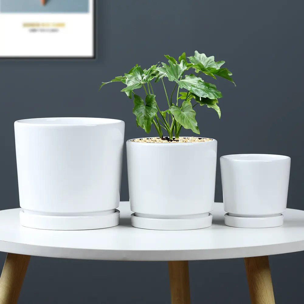 Ceramic Plant Pots China Trade,Buy China Direct From Ceramic Plant 