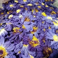 Harga pabrik bunga lotus biru teh lotus Biru berkualitas tinggi