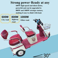 Tricycle Électrique de Luxe Personnalisé 60V 12 Pouces 3 Places, Véhicule Passager à Trois Roues, Pédicab 60V 1000W, Scooter de Mobilité Ouvert