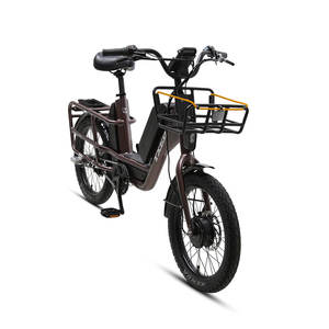 Vélo électrique de livraison TXED, best-seller, 20 pouces, 36V, 14,7 Ah, moteur de moyeu arrière 250W, Fatbike, panier avant, 120 miles, vélo cargo - Product Image 1