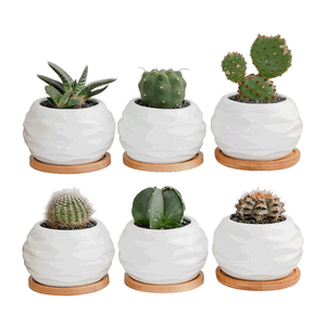 Vaso Fioriera Mini in Ceramica di Lusso Moderno Decorativo da Interno <span class=keywords><strong>per</strong></span> <span class=keywords><strong>Piante</strong></span> <span class=keywords><strong>Grasse</strong></span>, con Vassoio in Bambù, Uso da Giardino, Produzione Cinese - Product Image 6