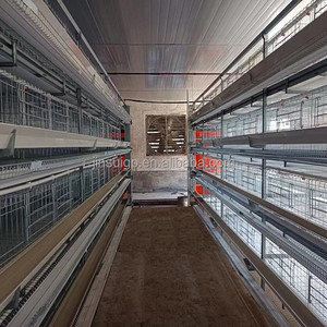 10000-20000 Chicken A H type Layer Hen Egg Galvanized Cage 4 Tiers 3 Layers <b>Ladder</b> Battery Cage - Product Image 3