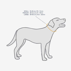 Collier pour chien en cuir haute <span class=keywords><strong>performance</strong></span> imperméable personnalisé à la mode de style unique pour toutes les tailles d'animaux de compagnie - Product Image 5