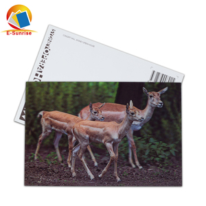 Décoratif Personnalisé Cadeau <span class=keywords><strong>Carte</strong></span> 3D <span class=keywords><strong>Carte</strong></span> <span class=keywords><strong>Postale</strong></span> Avec 3D Lenticulaire <span class=keywords><strong>Carte</strong></span> <span class=keywords><strong>Postale</strong></span> - Product Image 3
