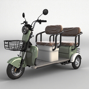 Triciclo Eléctrico de 600W con 48V 20A y 50km de Autonomía Extendida, Estructura de Acero Estable, Perfecto para Desplazamientos y Recreación de Adultos - Product Image 3
