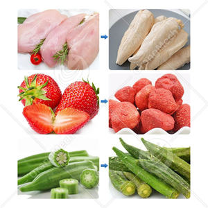 ORME commerciale liofilizzatore sottovuoto 60kg macchina per liofilizzazione del seno tassidermia liofilizzatore botanico - Product Image 3