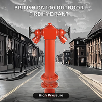 Hydrant d'incendie en fonte DN100 à 2 voies (type pilier) - Hydrant d'incendie humide avec vannes
