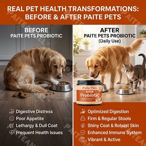Suplemento Probiótico para <span class=keywords><strong>Perros</strong></span> y Gatos, Aprobado por Veterinarios, Salud Intestinal, 180g en Polvo, Absorción Rápida, Apoyo Inmunológico, Marca Privada - Product Image 2