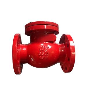 Válvula de Retención de Brazo Oscilante con Cuerpo de Hierro Fundido DIN PN16 - Product Image 3